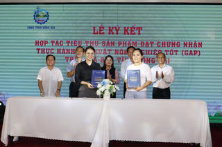 Kết nối để đưa sản phẩm đạt chứng nhận nông nghiệp tốt ra thị trường tiêu thụ