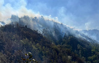 Lửa âm ỉ phức tạp tại 1 điểm rừng, Chủ tịch tỉnh Lào Cai tới hiện trường chỉ đạo chữa cháy 