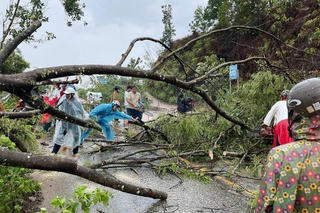 Mưa lớn kèm lốc xoáy, lở đá ở Bình Phước khiến một học sinh bị thương
