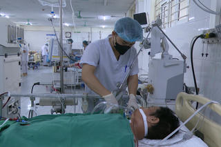 Một người đàn ông nguy kịch sau khi ăn thịt lợn chết