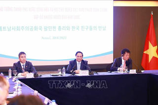 Thủ tướng Phạm Minh Chính gặp gỡ những người bạn Hàn Quốc