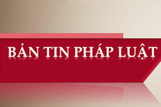 Bắt giữ 6 thiếu niên phá xe máy, dọa đánh du khách tại đèo Đá Trắng