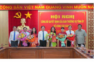 Bình Định điều động, luân chuyển nhiều cán bộ chủ chốt