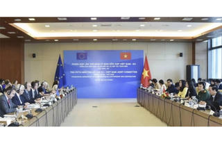 Tích cực hợp tác, thúc đẩy triển khai đầy đủ EVFTA 