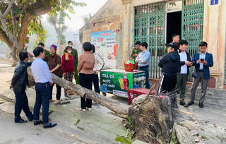 Quận Kiến An dự kiến cưỡng chế thu hồi đất thực hiện dự án vườn hoa hồ Hạnh Phúc