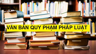 Kiên quyết không trình các dự thảo văn bản không bảo đảm chất lượng