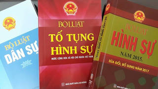 Kịp thời xử lý các văn bản hết hiệu lực, không còn phù hợp