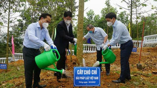 Bộ Tư pháp hưởng ứng Tết trồng cây năm 2022