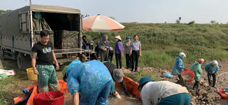 Vĩnh Phúc cưỡng chế thi hành án dân sự, buộc trả lại gần 117 nghìn m2 đất