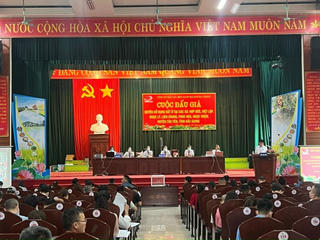 Đề nghị bổ sung các trường hợp không được đăng ký tham gia đấu giá