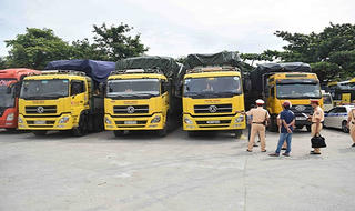 Không có giấy phép lái xe vẫn ngang nhiên chở gỗ 