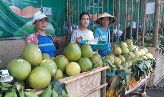 Lễ hội Thanh trà xứ Huế chính thức khai hội