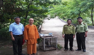 Thả nhiều động vật qúy hiếm về tự nhiên