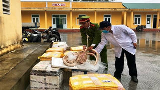 Bắt giữ hơn 700 kg thịt động vật hôi thối trên đường vào Nam tiêu thụ