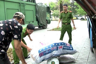 Xe khách chở 4 tạ da lợn chưa qua kiểm dịch