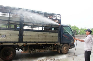 Thừa Thiên-Huế: Công bố hết dịch tả lợn châu Phi
