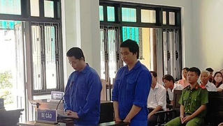 Hai anh em ruột cùng lĩnh án sau khi làm giả hồ sơ kê khai chiếm đoạt hơn 1 tỷ đồng phí trước bạ