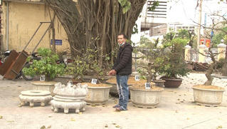 Phá thành công chuyên án 128M, bắt kẻ trộm cây mai cảnh 