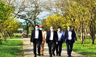 Chủ tịch Thừa Thiên Huế phát động phong trào 'Mai vàng trước ngõ'