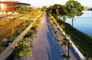 Cung đường phủ đầy cây xanh và hoa ven sông Hương