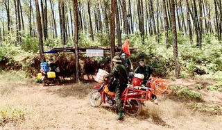 Bảo vệ rừng và phòng cháy, chữa cháy rừng trong mùa nắng nóng