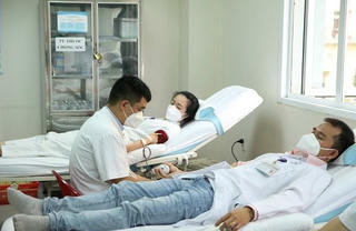 Hàng trăm y, bác sĩ bệnh viện Trung ương Huế hiến máu cứu người bệnh