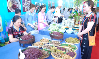 Lễ hội ẩm thực chay thu hút hàng ngàn người dân và du khách Huế
