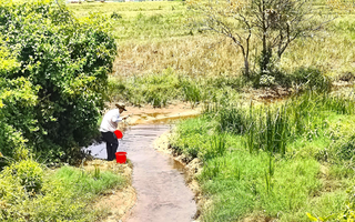 Làm rõ nguyên nhân cá chết bất thường trên sông Mỹ Gia 