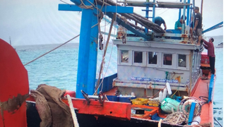 Kịp thời sửa chữa sự cố máy tàu câu cá ngừ bị hỏng máy, thả trôi ở gần đảo Sinh Tồn