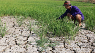 Xâm nhập mặn dự báo sẽ diễn ra khốc liệt tại ĐBSCL trong mùa khô 2021