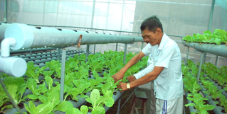 10 năm đào tạo nghề cho trên 65.000 lao động nông thôn