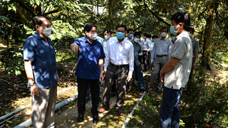 Đoàn công tác Bộ Nông nghiệp và Phát triển nông thôn kiểm tra tình hình sản xuất nông nghiệp tại Long An và Tiền Giang