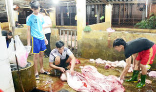 Thấy chất cấm trong mẫu thử nhanh tại lò mổ lớn nhất Bắc Trung bộ