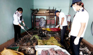 Phát hiện hơn nửa tấn “tiểu hổ” trên xe khách