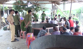 Gần 100 cảnh sát đột kích sới gà bắt 54 đối tượng đánh bạc