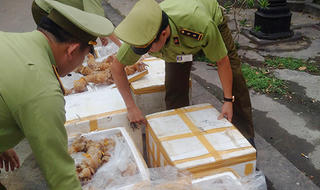 Phát hiện xe tải chở gần 4 tạ giò bò không rõ nguồn gốc xuất xứ