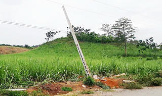 Vụ phóng điện làm 7 người thương vong: Điện lực cho rằng bên viễn thông vi phạm nghiêm trọng hành lang an toàn