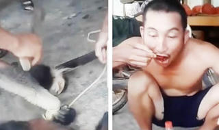 Xác định nhóm người livestream giết khỉ, ăn óc sống, gây bức xúc dư luận