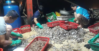 Náo nức tàu chở sản vật biển cập cảng Cửa Sót ngày lễ 