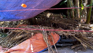 Khởi tố, tạm giam người đâm chết anh họ và người tình