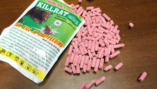 Nhầm thuốc diệt chuột là kẹo, cháu bé hai tuổi tử vong thương tâm