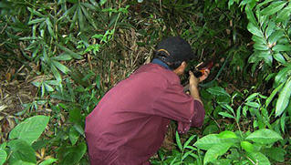 Một người đàn ông bất ngờ dính đạn tử vong khi đi hái rau rừng 