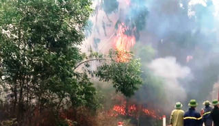 Truy tặng huân chương Dũng cảm cho người phụ nữ tử vong khi cứu rừng