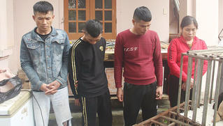 5 tên trộm đánh bả chó hơn 100 vụ náo loạn làng quê