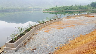 Ba lần bị đình chỉ khu sinh thái vẫn mọc lên trên đất lâm nghiệp