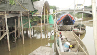 Mong manh cuộc sống những gia đình bên bờ sông Vinh