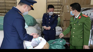 Lào Cai thu giữ 280kg củ tam thất khô không rõ nguồn gốc