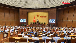 Kỳ họp thứ 7, Quốc hội khóa XV: Khắc phục những bất cập trong quản lý an toàn thực phẩm