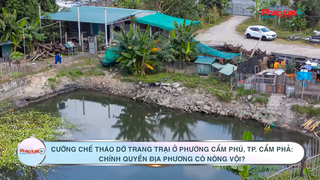 Cưỡng chế tháo dỡ trang trại ở phường Cẩm Phú, TP. Cẩm Phả: Chính quyền địa phương có nóng vội?