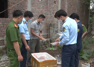 Kim Bảng (Hà Nam): Phát hiện cơ sở kinh doanh thực phẩm đông lạnh không nguồn gốc